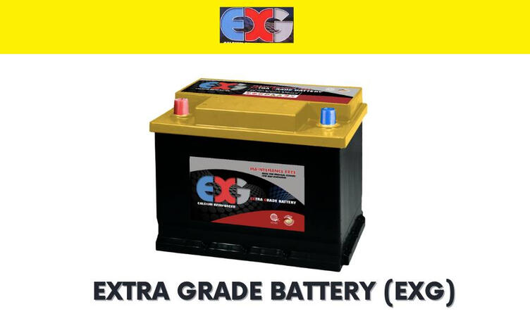 EXG Battery
